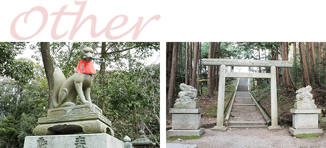 狛犬とは 神社の知識 神社専門メディア 奥宮 Okumiya
