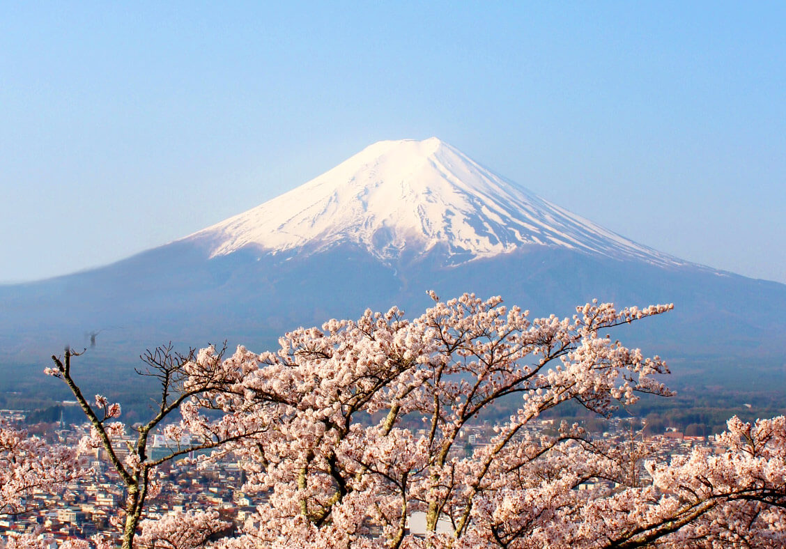 平成31年版 花見で使える神ネタ 桜と神社の関係は 皇居乾通り一般公開はいつ 神社専門メディア 奥宮 Okumiya