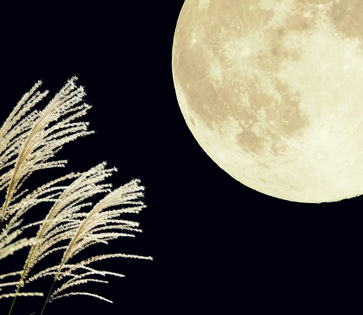 今年の中秋の名月はいつ？月の神様を知ってもっと満月を楽しもう