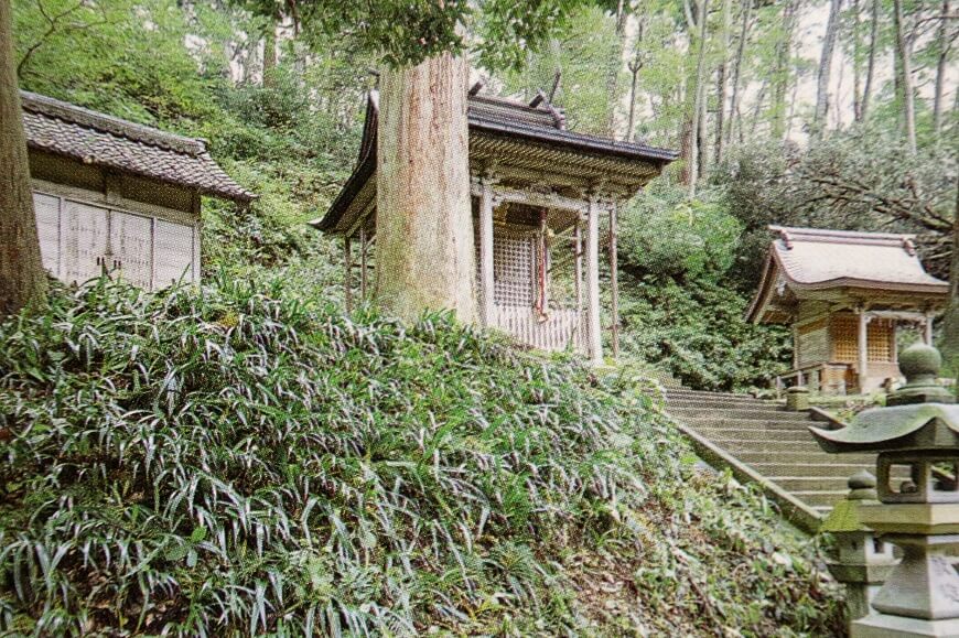 奥の院の大瀧神社(中央)・岡太神社(右)